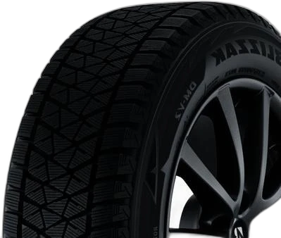 Bridgestone Blizzak DM-V2