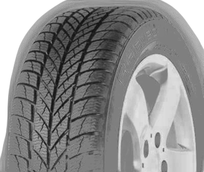 Gislaved Euro Frost 5