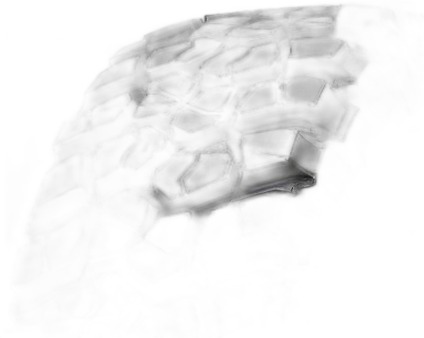 BFGoodrich Mud Terrain T/A KM2