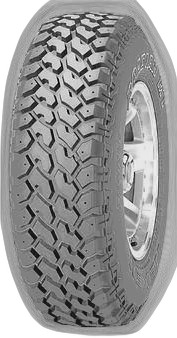 Nexen Roadian MT