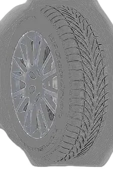 BF Goodrich g-force Winter