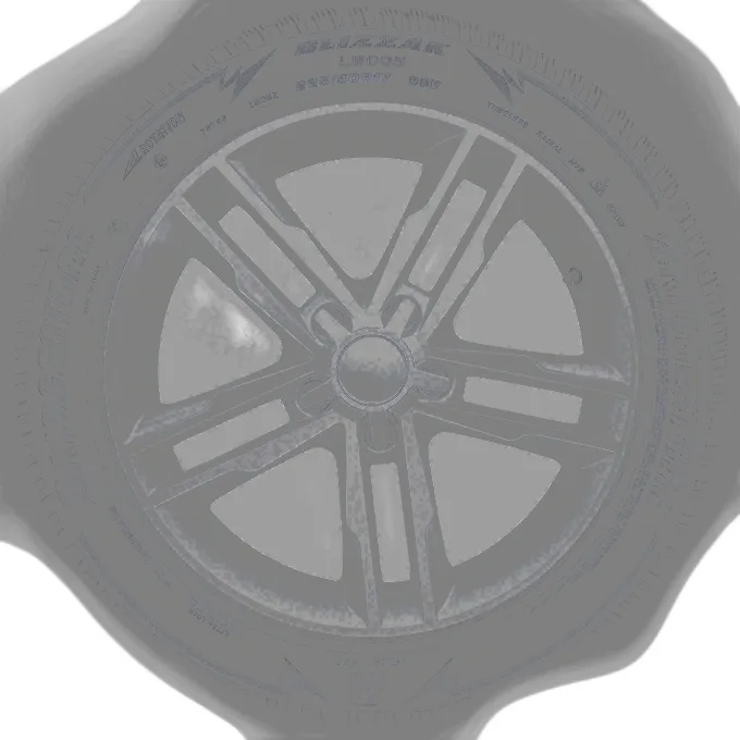 Bridgestone Blizzak LM-005 DriveGuard