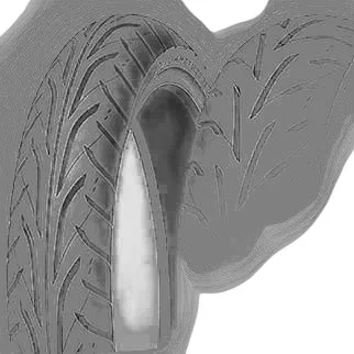 Dunlop ARROWMAX GT601