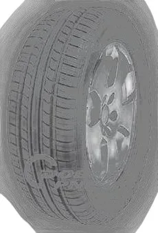 Minerva F109