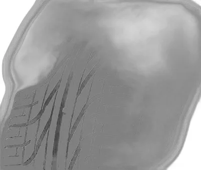 Pirelli P6000